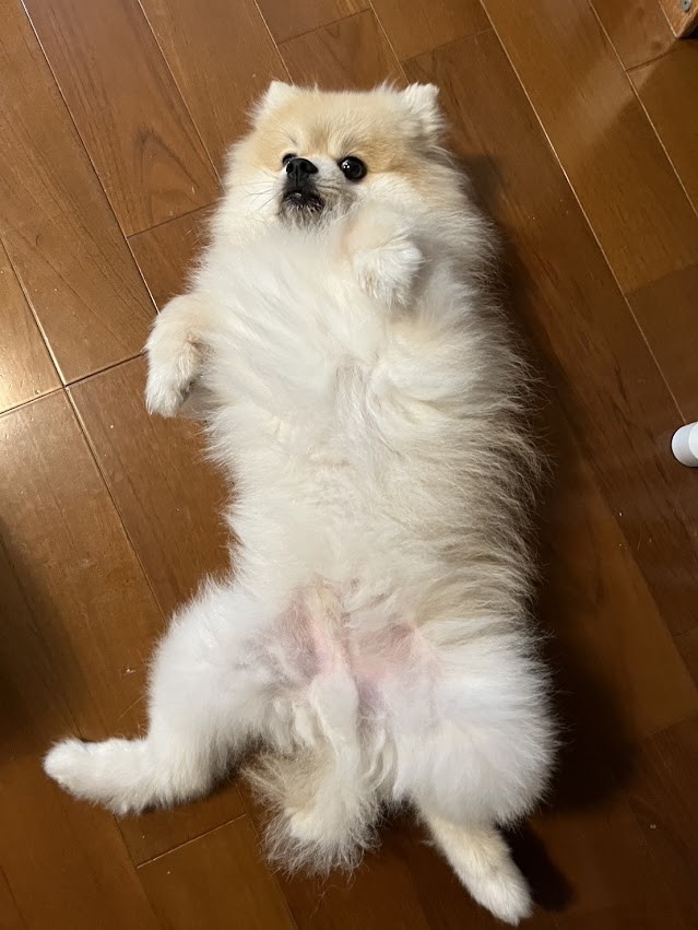 alt